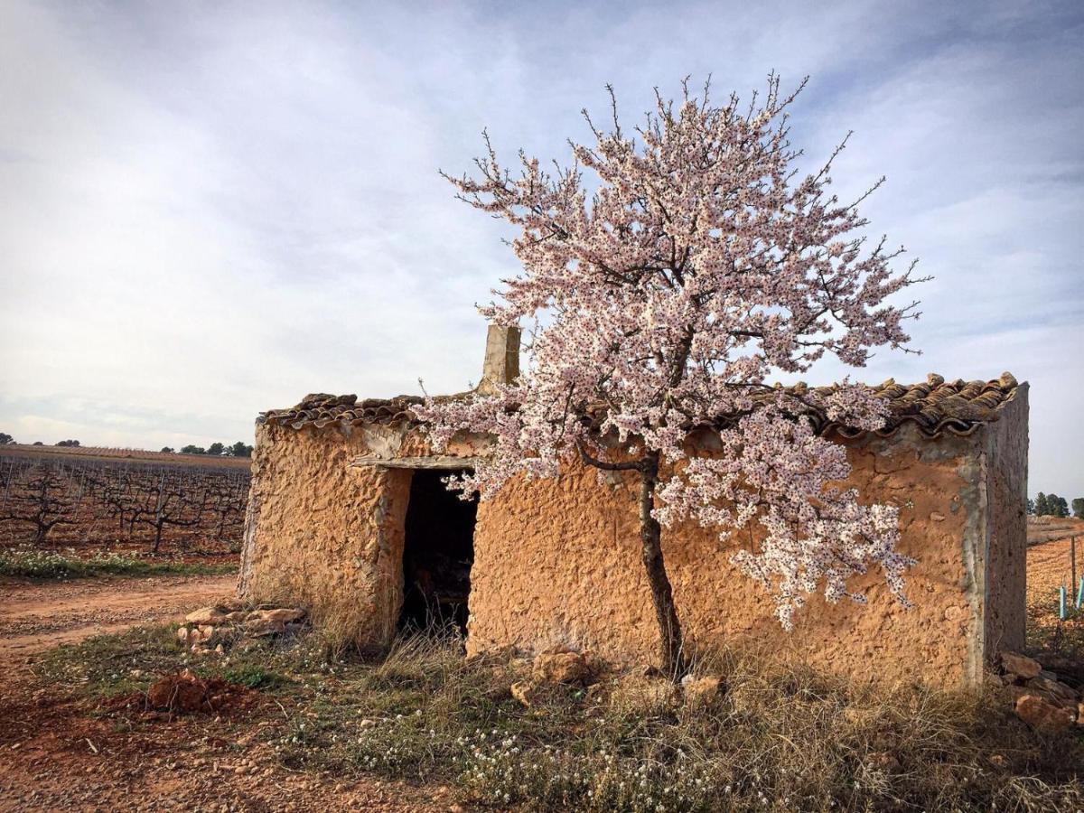 Villamalea Casa Rural Rio Cabriel מראה חיצוני תמונה